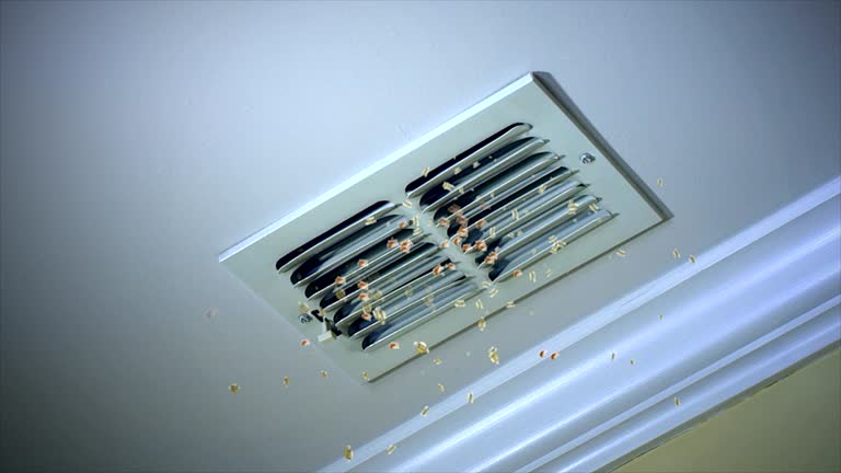Best Emergency Air Duct Cleaning  in Long View, NC